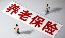 国产精品久久久久一级毛片,揭秘久久久久一级毛片的魅力与争议