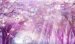 樱花网动漫,描绘青春梦想的动漫世界